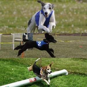 Meet your Posher, Tracy